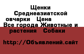 Щенки Среднеазиатской овчарки › Цена ­ 30 000 - Все города Животные и растения » Собаки   